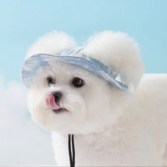 RoRos Pet Fashion Sun Hat for Bichon Frise, Poodle, Schnauzer, etc. - Denim Blue/Goose Yellow