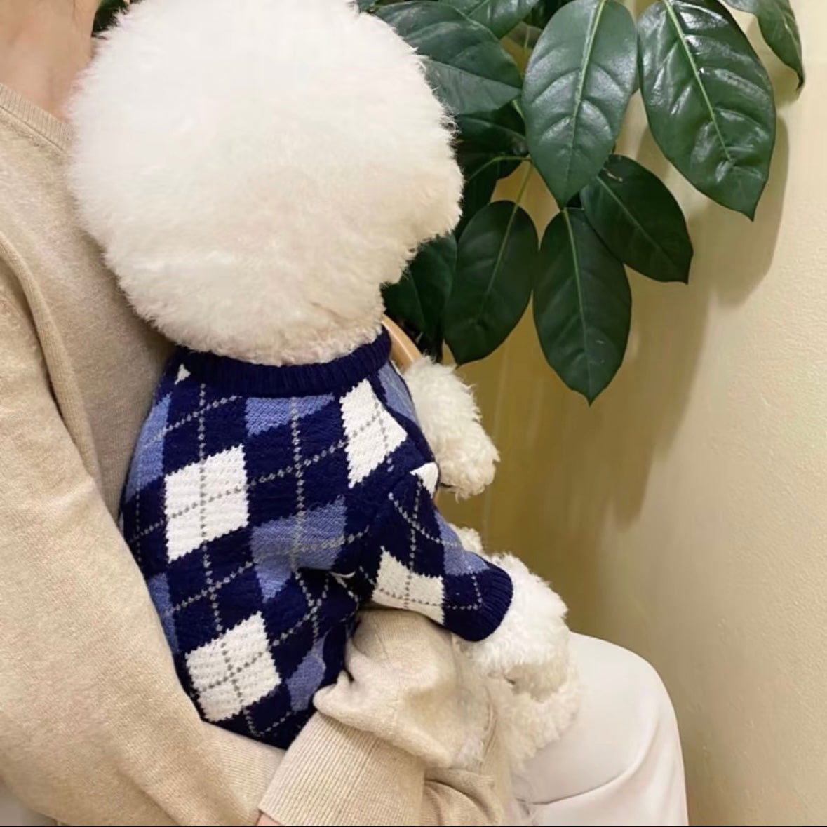 Fashionable Plaid Pet Sweater - Soft and Comfortable Fabric